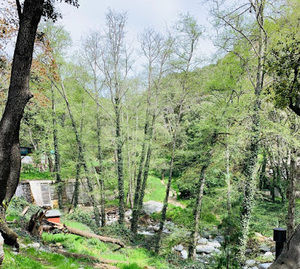 Meet your Posher, Dimas